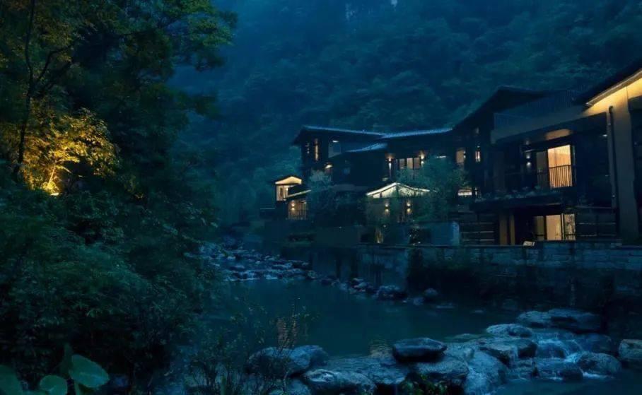 野生动物园大逃脱