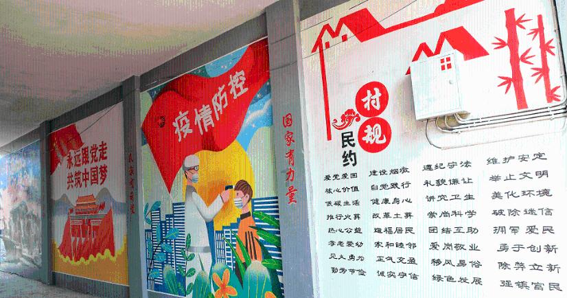 寻找萌小老虎